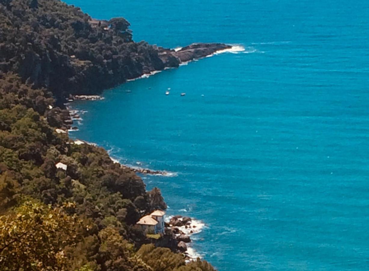 Villa Albachiara Camogli Dış mekan fotoğraf