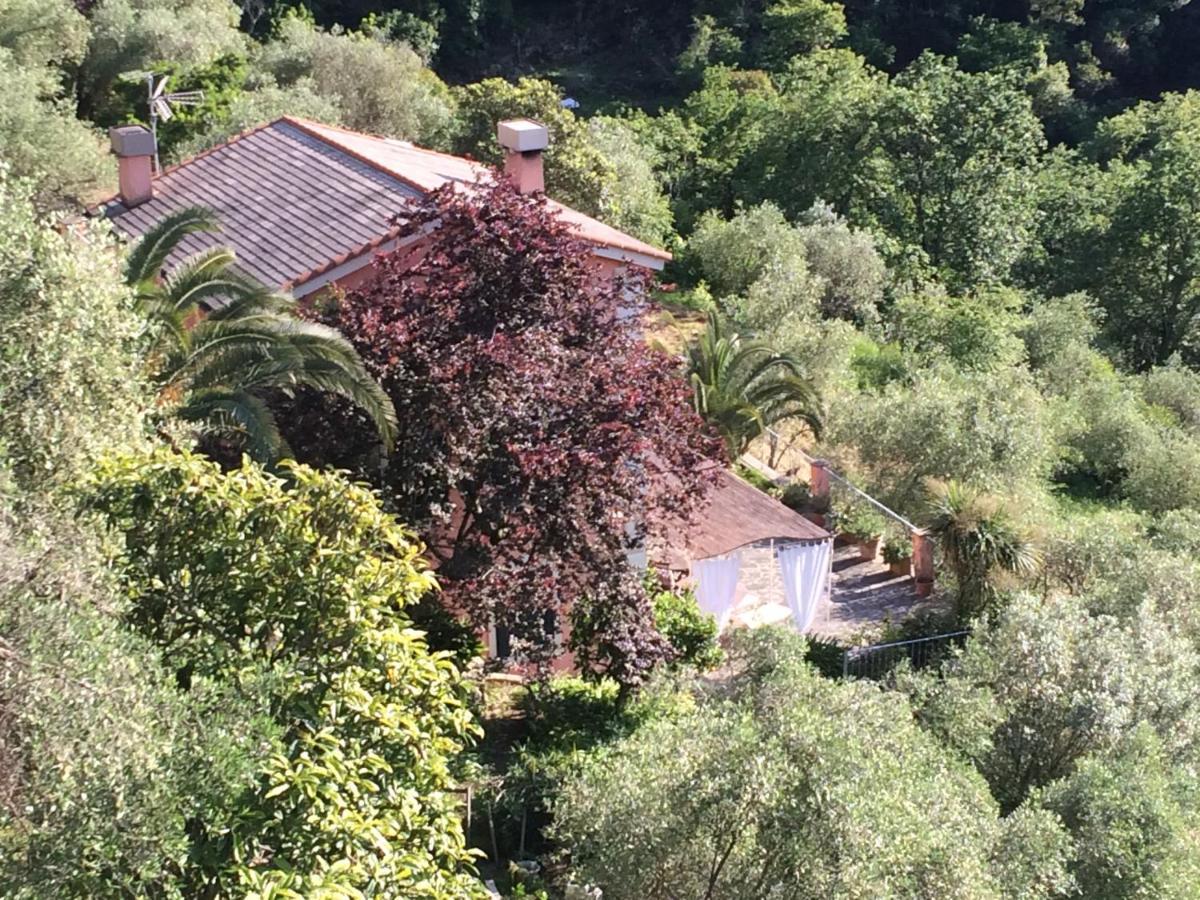 Villa Albachiara Camogli Dış mekan fotoğraf