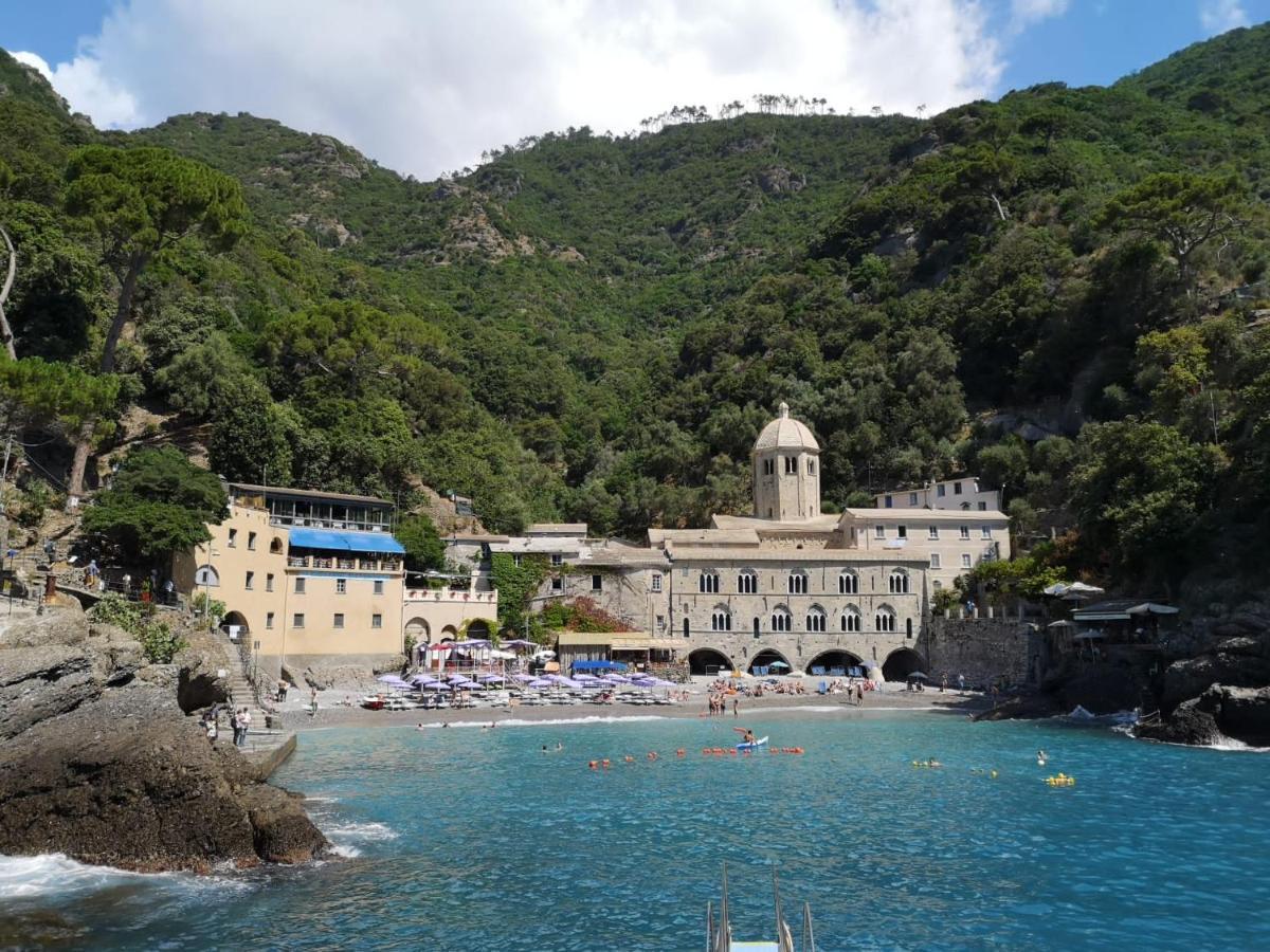 Villa Albachiara Camogli Dış mekan fotoğraf