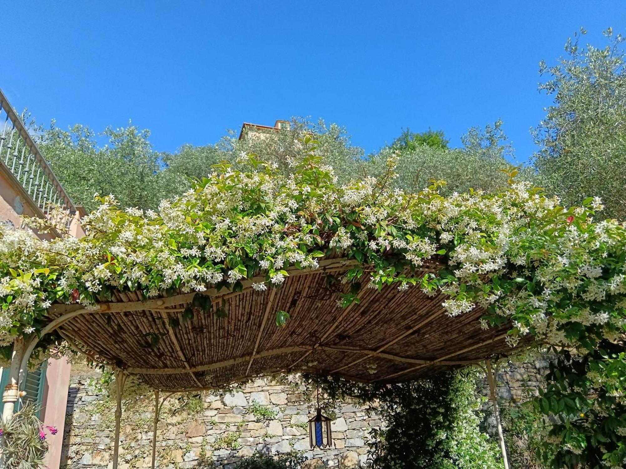 Villa Albachiara Camogli Dış mekan fotoğraf