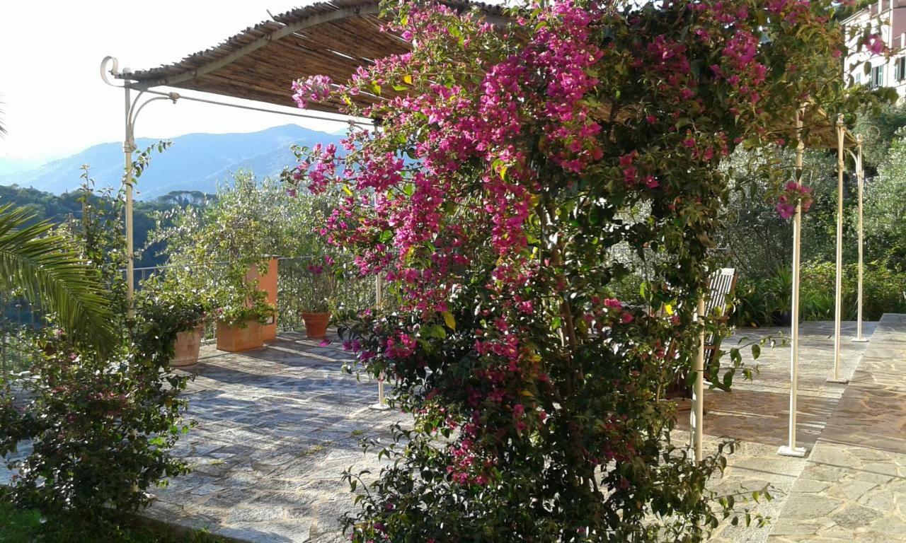 Villa Albachiara Camogli Dış mekan fotoğraf