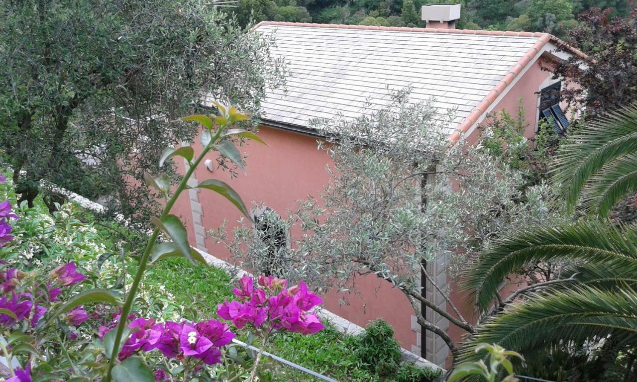 Villa Albachiara Camogli Dış mekan fotoğraf