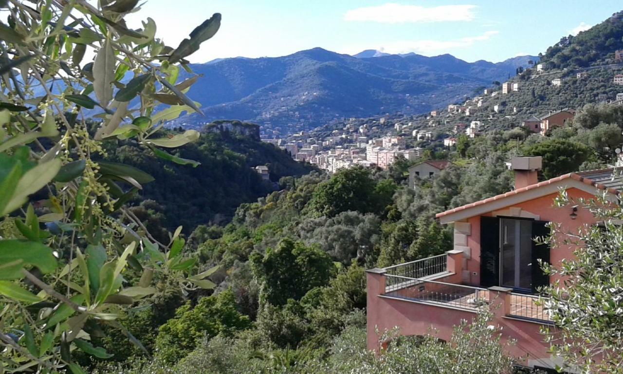Villa Albachiara Camogli Dış mekan fotoğraf